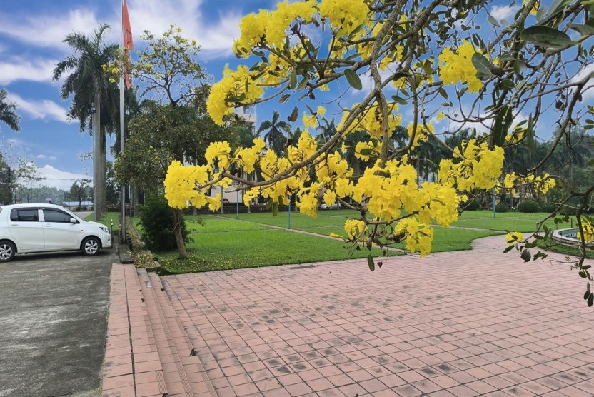 Thông báo về chương trình trao đổi sinh viên tại Đại học Jeonju - Hàn Quốc