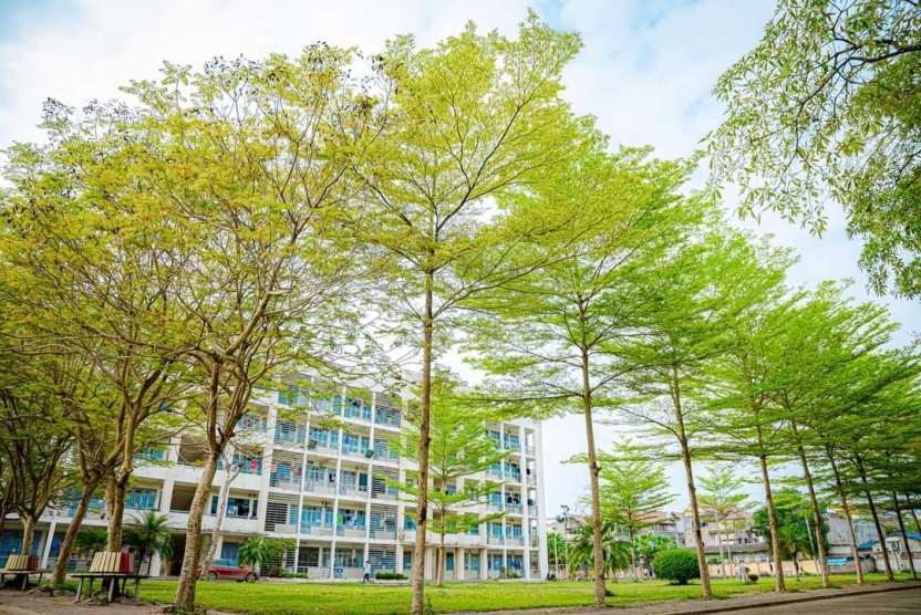 Quyết định ban hành Chương trình đào tạo từ xa ngành Kỹ thuật máy tính