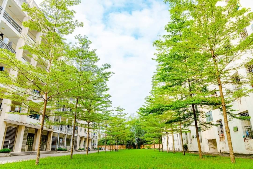 Thông báo tuyển sinh đào tạo từ xa trình độ đại học năm 2025 (bổ sung lần 1)