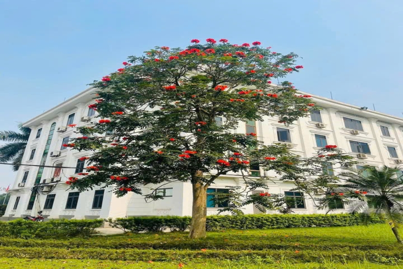 Thông báo về việc bảo vệ luận án Tiến sĩ cấp Trường của nghiên cứu sinh Nguyễn Đức Điển