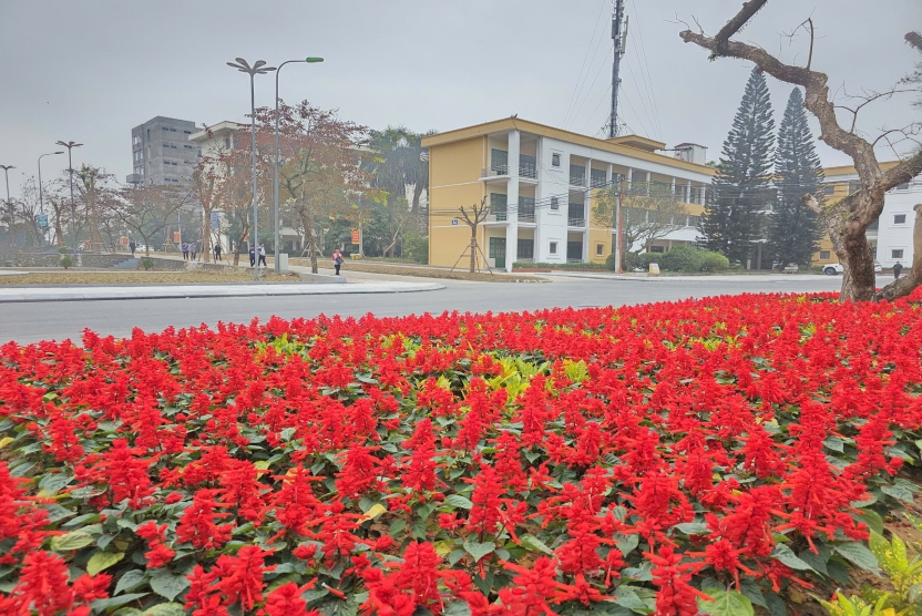 Ngành và chỉ tiêu tuyển sinh năm 2026