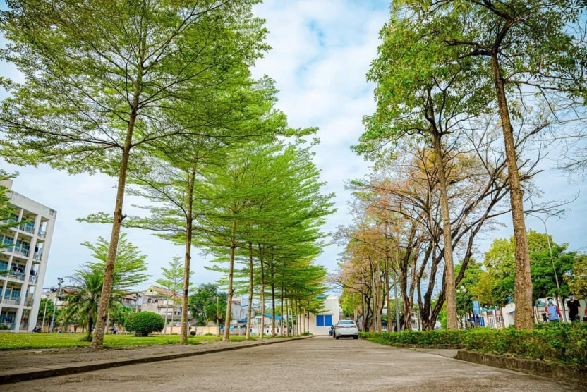 Thông báo V/v đăng ký tham gia chương trình học bổng Phát triển nhân tài số 2026