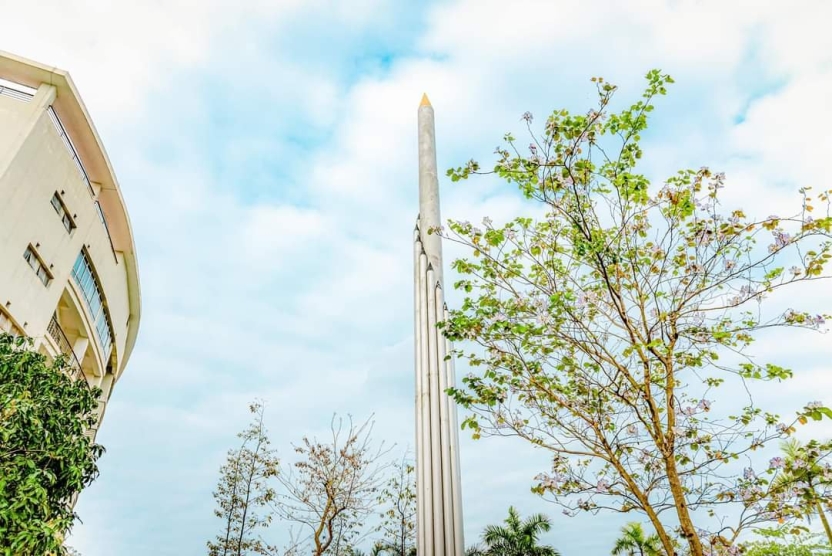 Công văn v/v nâng cao tinh thần cảnh giác, giám sát phòng, chống dịch do vi rút Nipah