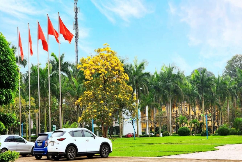 Danh sách xét CĐR ngoại ngữ cho sinh viên xét tốt nghiệp đợt 3 năm học 2025-2026 (chưa có kết quả thi ngày 17/5/2026 của Đại học Thái Nguyên)