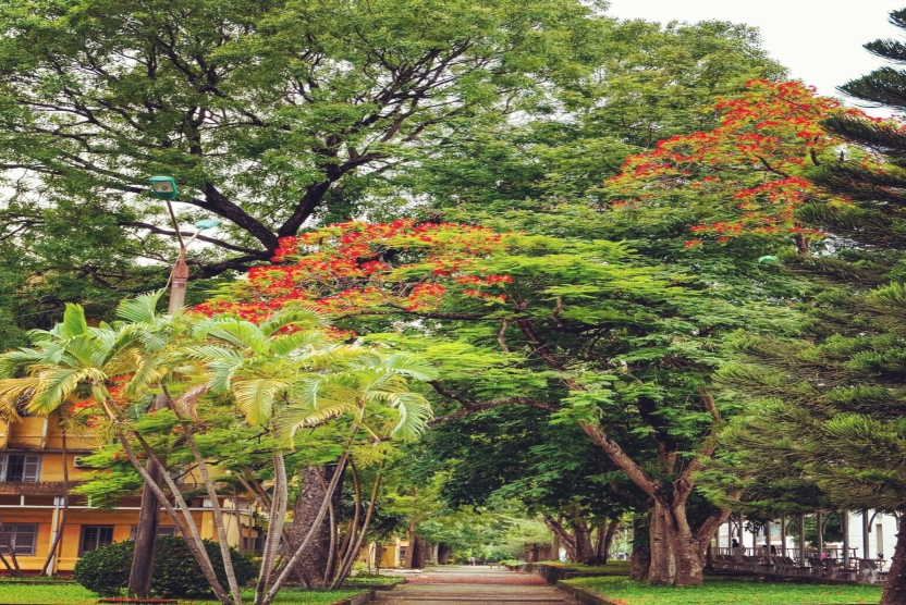 Công văn về việc hoàn thành báo cáo tự đánh giá CSGD và đăng ký đánh giá ngoài